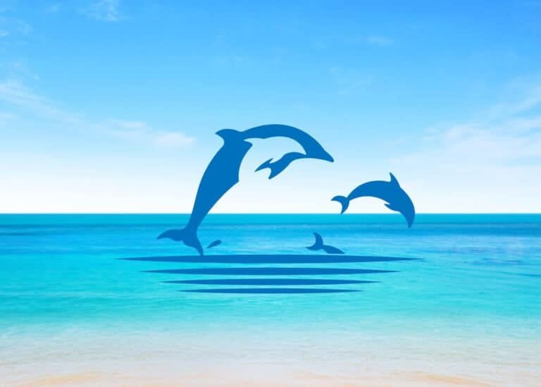 Inscriptions au centre de loisirs pour les vacances d&rsquo;été 2025