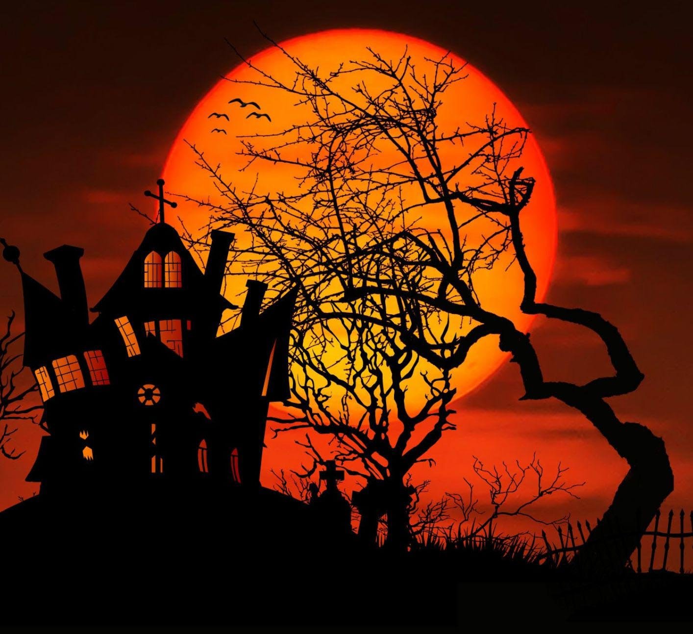 Inscriptions aux vacances d’automne 2025